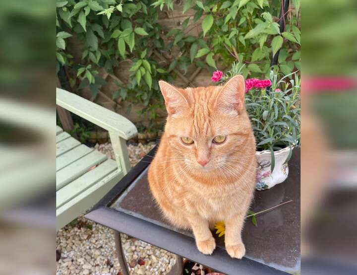 Crickhowell, Wales, United Kingdom