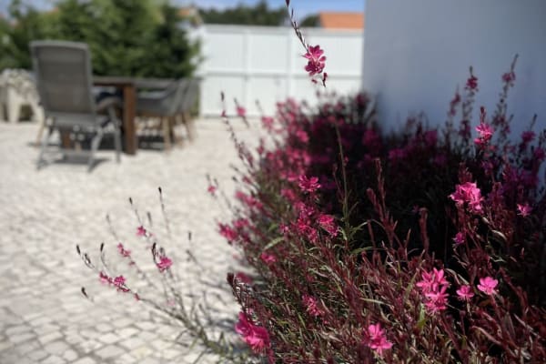 Óbidos, Leiria, Portugal