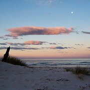 Bicheno, Tasmania, Australia