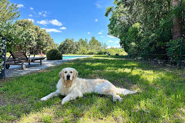 Aix-en-Provence, Provence-Alpes-Cote d'Azur, France