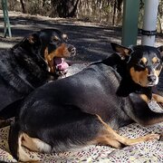 Lenswood, South Australia, Australia