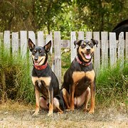 Winnejup, Western Australia, Australia