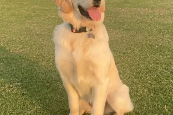 Perth, Western Australia, Australia