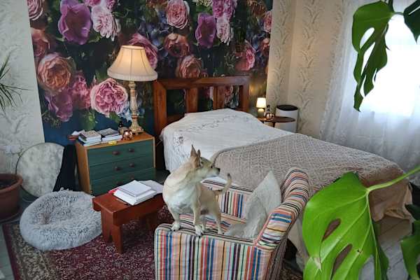 Whitburn, Scotland, United Kingdom