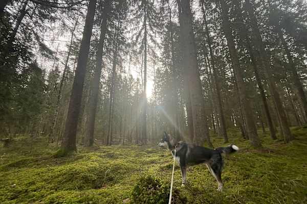 Uddevalla, Vaestra Goetaland, Sweden