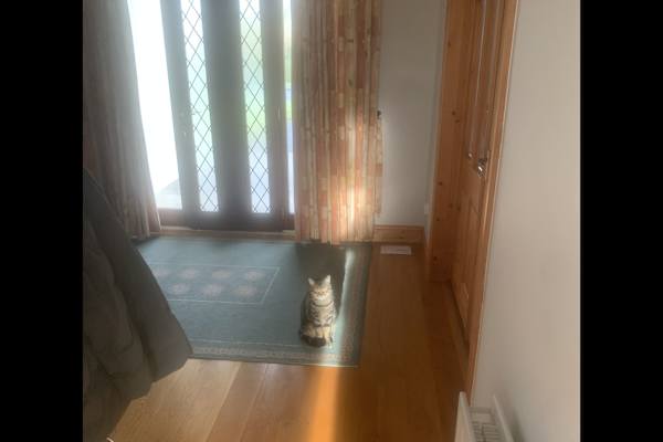 Ennis, Munster, Ireland