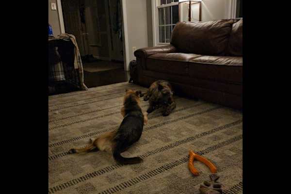 Centreville, Virginia, United States