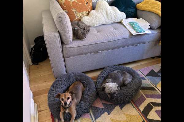 Albuquerque, New Mexico, United States