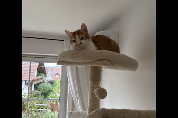 Langquaid, Bavaria, Germany