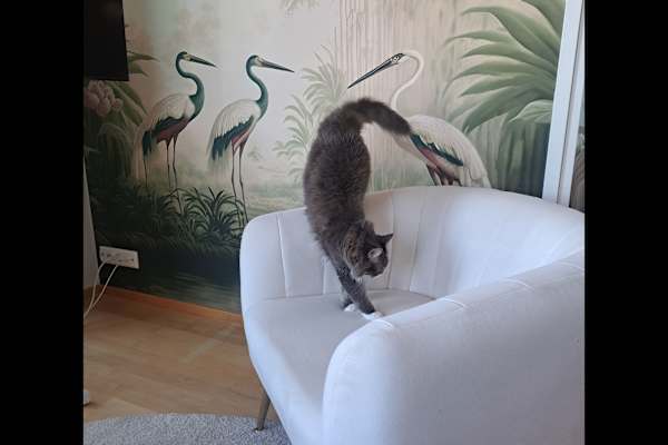 Turku, Varsinais-Suomi, Finland