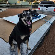 Darling Downs, Western Australia, Australia