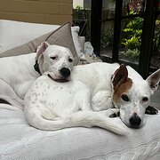 Kensington, New South Wales, Australia