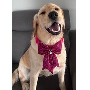 Braidwood, New South Wales, Australia