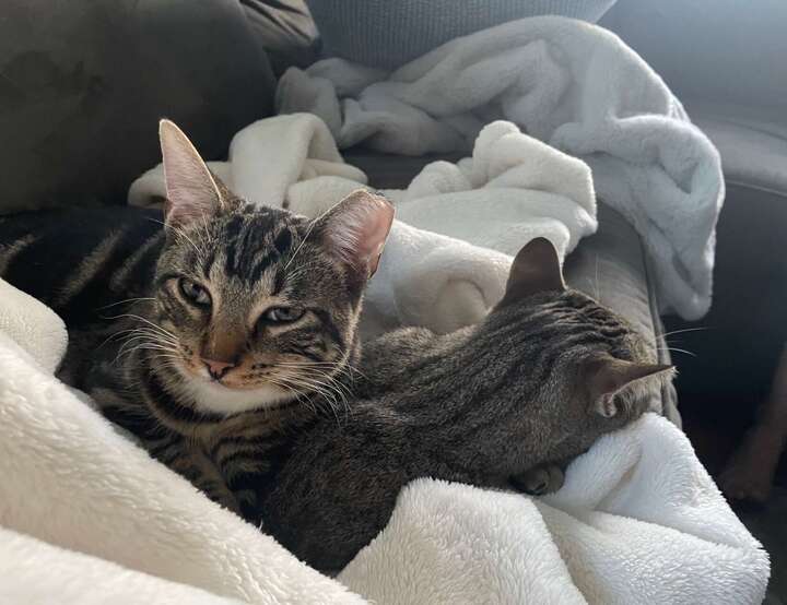 Town of Berne, New York, United States