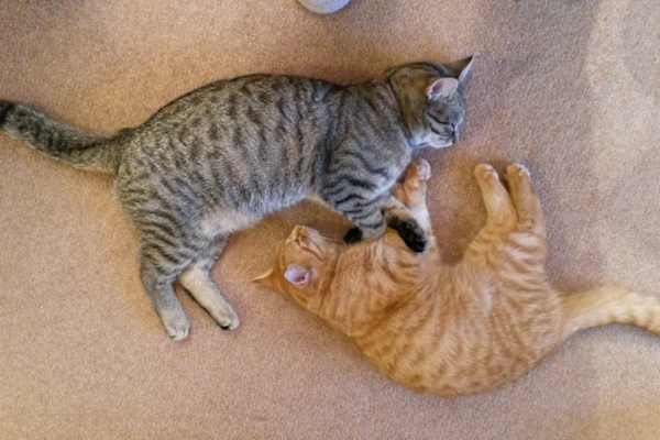 Portree, Scotland, United Kingdom