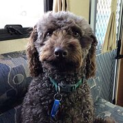 Tinana, Queensland, Australia