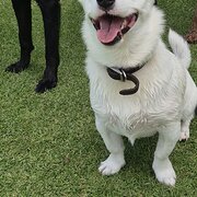 North Fremantle, Western Australia, Australia