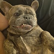 Hunters Hill, New South Wales, Australia