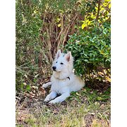 Northcote, Victoria, Australia