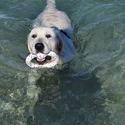 Hamilton Hill, Western Australia, Australia