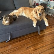 Yarraville, Victoria, Australia