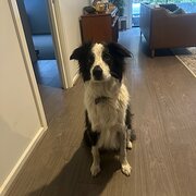 Coburg North, Victoria, Australia