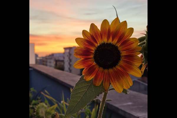 Matosinhos, Porto, Portugal