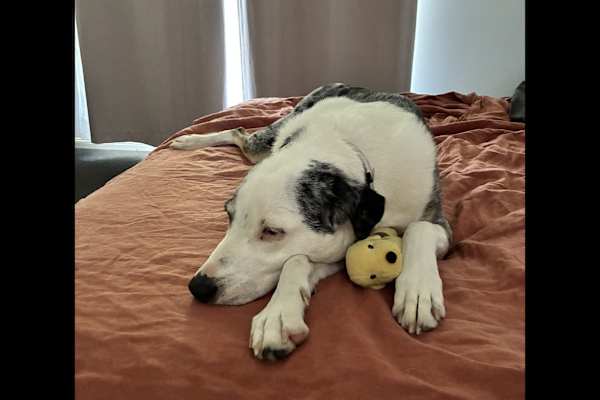 Caloundra, Queensland, Australia