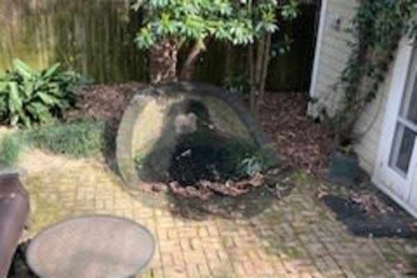 Atlanta, Georgia, United States