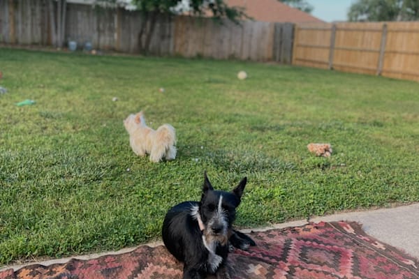 Bentonville, Arkansas, United States