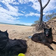 Palmwoods, Queensland, Australia