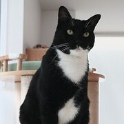 Docklands, Victoria, Australia