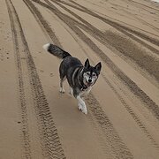 Riverside, Tasmania, Australia