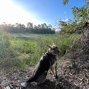 Crestmead, Queensland, Australia