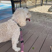 Wurtulla, Sunshine Coast, Queensland, Australia