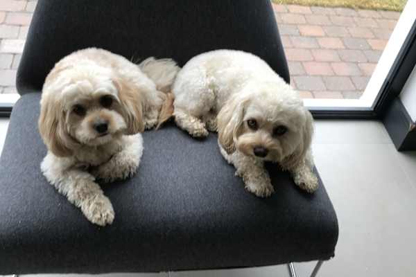 Gold Coast, Queensland, Australia