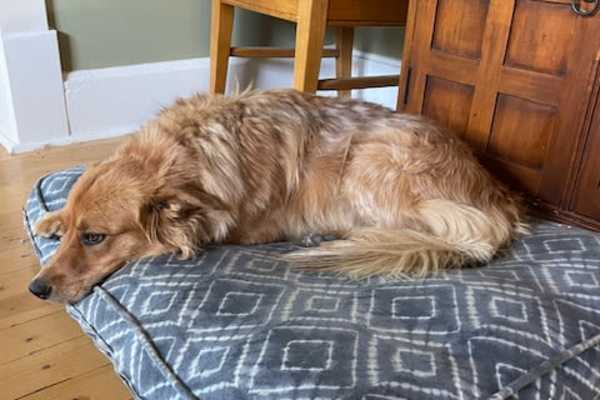 Durango, Colorado, United States