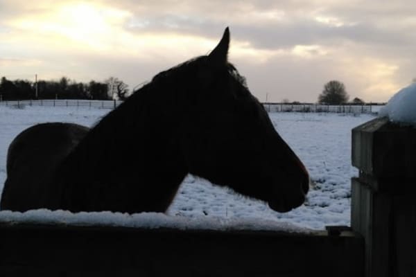 Moira, Northern Ireland, United Kingdom