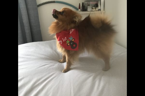 Newcastle, Northern Ireland, United Kingdom