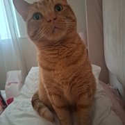 Bolton, North West England, UK