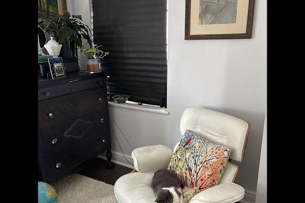 New York City, New York, United States