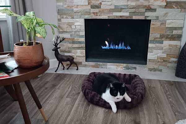 White Rock, British Columbia, Canada