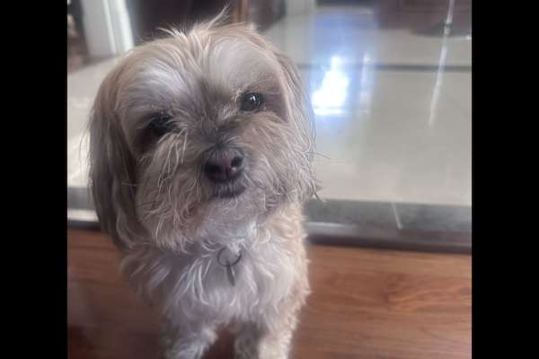 Vancouver, British Columbia, Canada