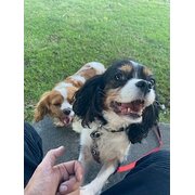 Newcastle, New South Wales, Australia