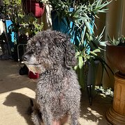 Rockingham, Western Australia, Australia