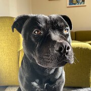 Aldinga Beach, South Australia, Australia