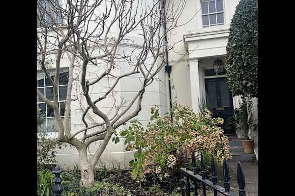 London, England, United Kingdom