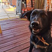 Australind, Western Australia, Australia