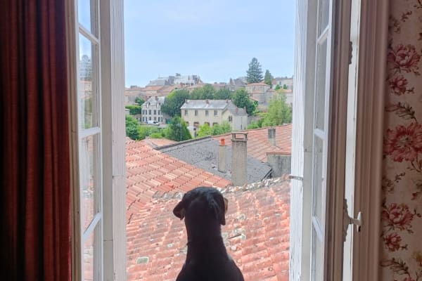 Pouzauges, Pays de la Loire, France