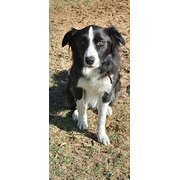 Warawarrup (harvey), Western Australia, Australia